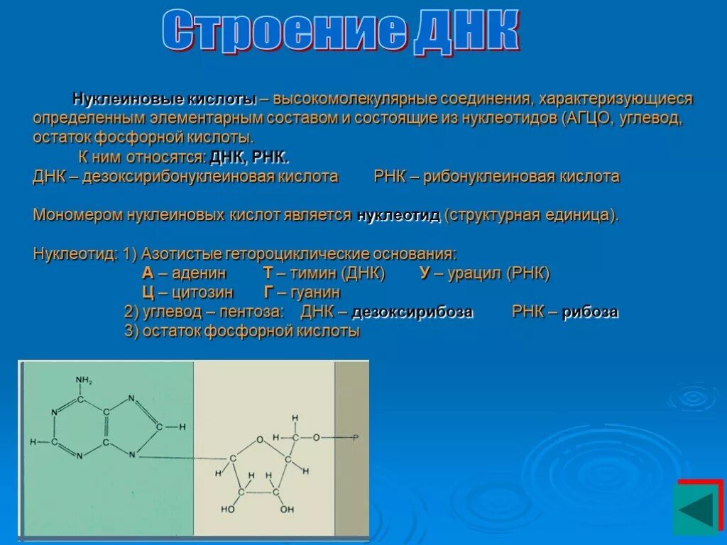 Высокомолекулярным соединением является. Строение высокомолекулярных соединений. Высокомолекулярное азотистое соединение. Высокомолекулярные кислоты. К высокомолекулярным соединениям относятся.