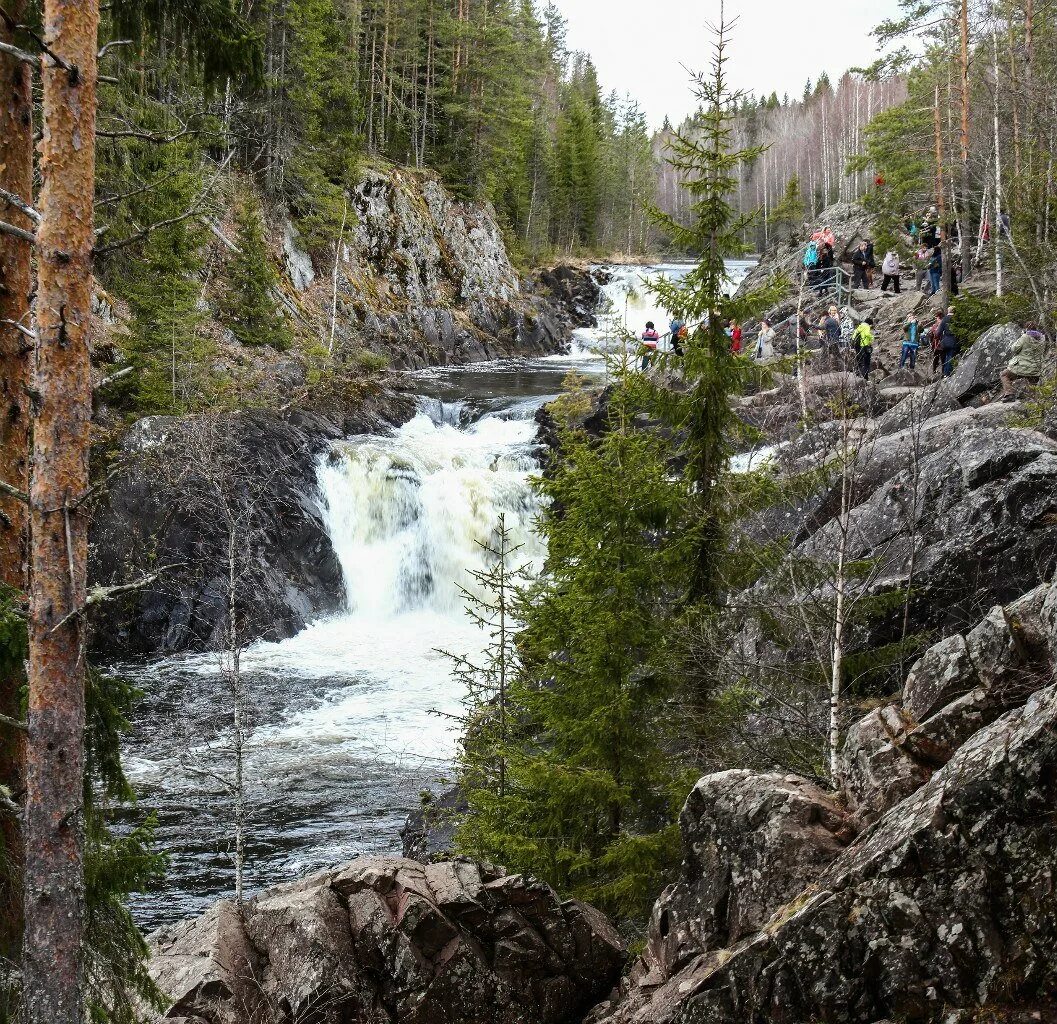 Водопад Гирвас Карелия. Водопад Кивач. Заповедник водопад Кивач в Карелии. Водопад Прокинкоски Карелия. Водопад в карелии название