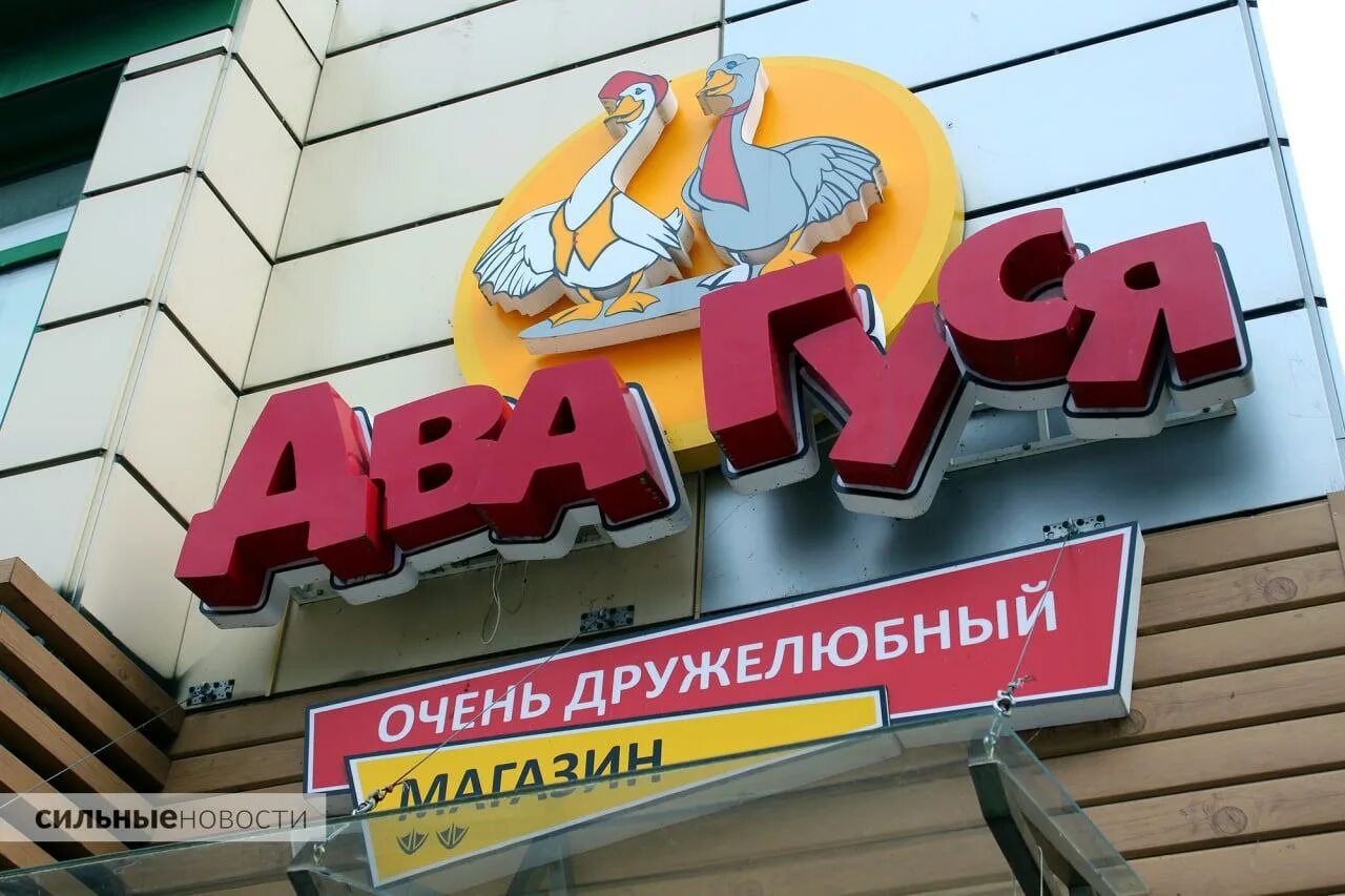 Два гуся гомель. Магазины 2 гуся. Два гуся, беларусь, гомель, улица свиридова. Два гуся гомель. 2 гуся гомель.