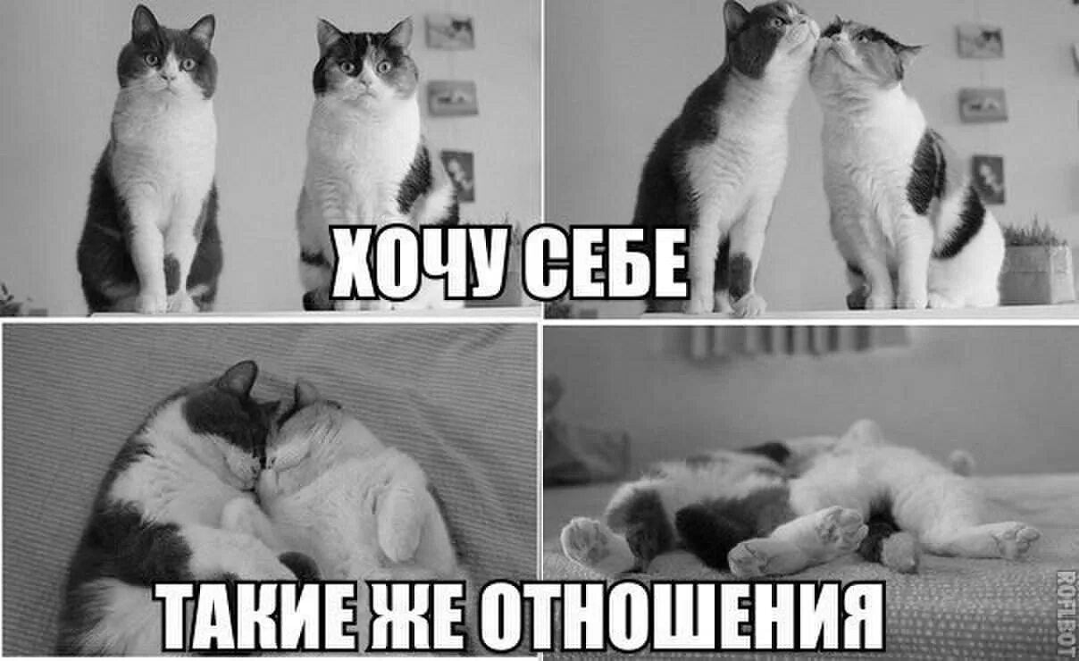 Хочу отношений. Хочу такие отношения. Я не хочу отношений. Хочется отношений.