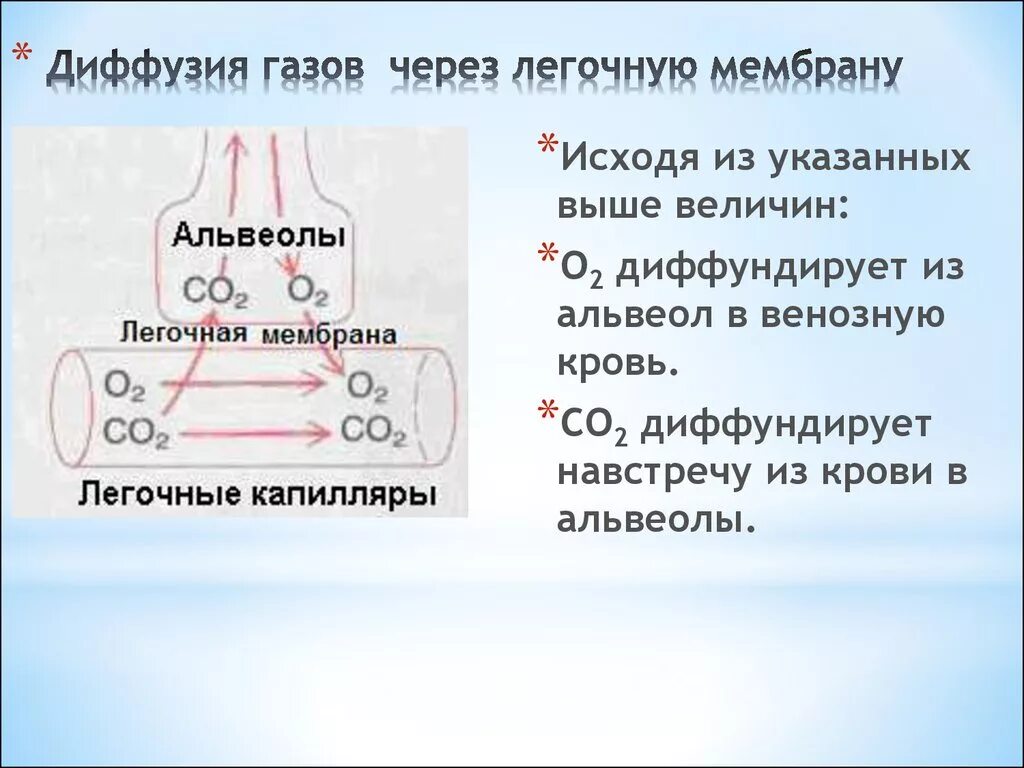 При диффузии газов в легких происходит. Диффузия кислорода через альвеолярную мембрану. Схема диффузии через мембрану альвеолы. Строение и свойства легочной мембраны. Диффузия газов через альвеолярную мембрану.