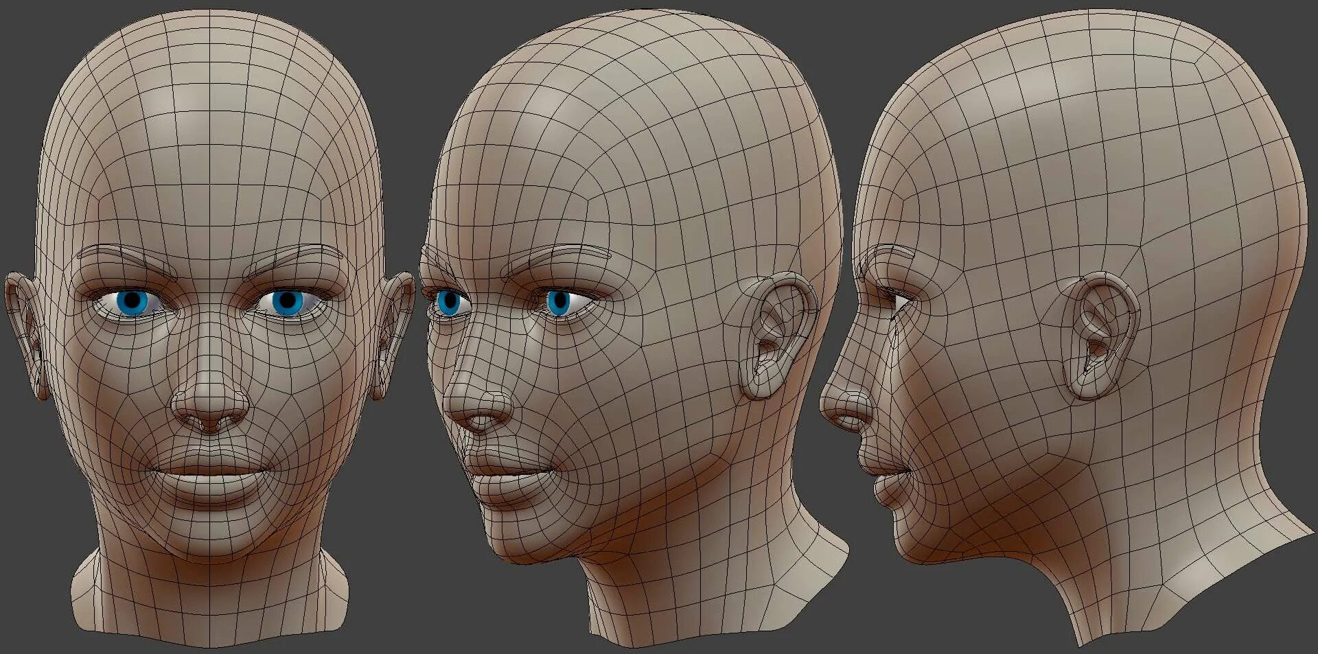 Зд лица. 3в female topology. Ретопология в Blender. Моделирование лица. Топология лица.