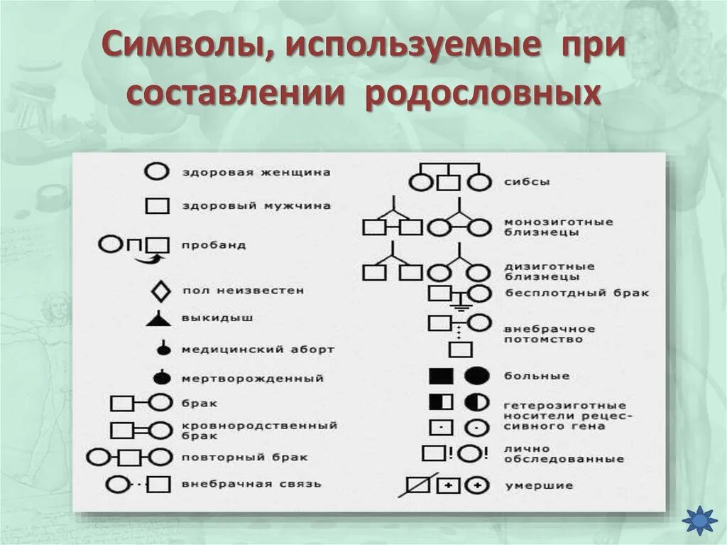 Символы генетики 10 класс. Символы, используемые при составлении родословных. Символы используемые при составлении родословной. Генеалогическое Древо значки. Символы использующиеся при составлении родословной.