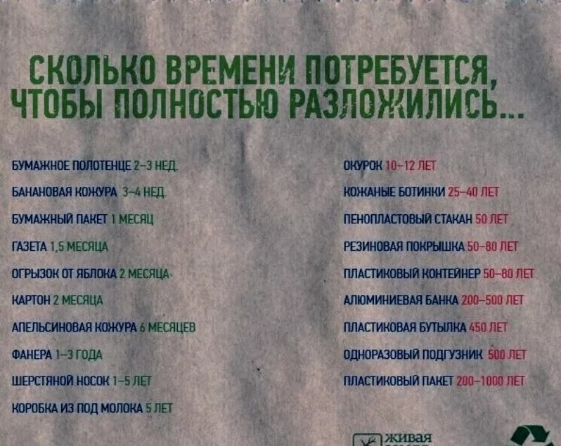 Сколько творится. За сколько разлагается человек. Сколькорвзлагается человек. За сколько времени разлагается тело. Периоды разложения человека.