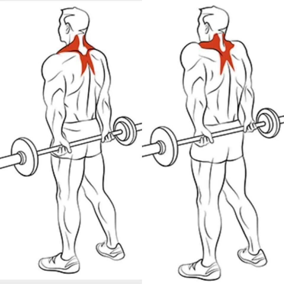 Как прокачать спину в домашних условиях. Шраги (трапеции) со штангой стоя.