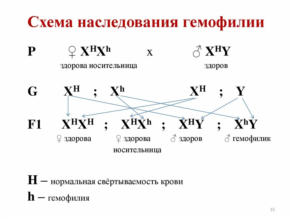 Ген общей цветовой слепоты. Схема наследования гемофилии. Генетические схемы наследования гемофилии. Наследование сцепленное с полом схема скрещивания. Генетика пола гемофилия задачи с решением.