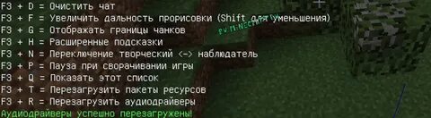 Как перезагрузить чанки в майнкрафт