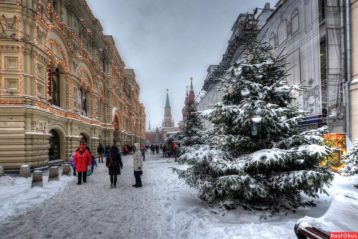 Фотография фотографа - Зимний вечер у МГУ St petersburg russia, Moscow winter, P