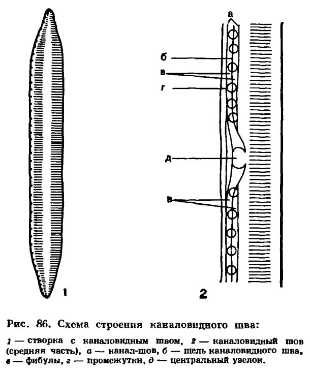 Что такое по строению. Что такое по строению