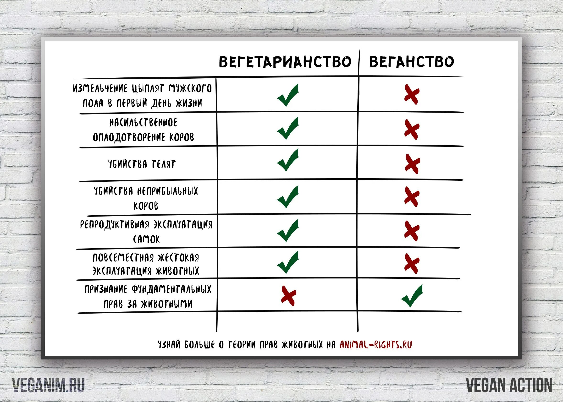 Вегетарианство и веганство в чем различия. Веган и вегетарианец в чем. От чего отказываются веганы. Веганство причины. Чем отличается вегетарианство от