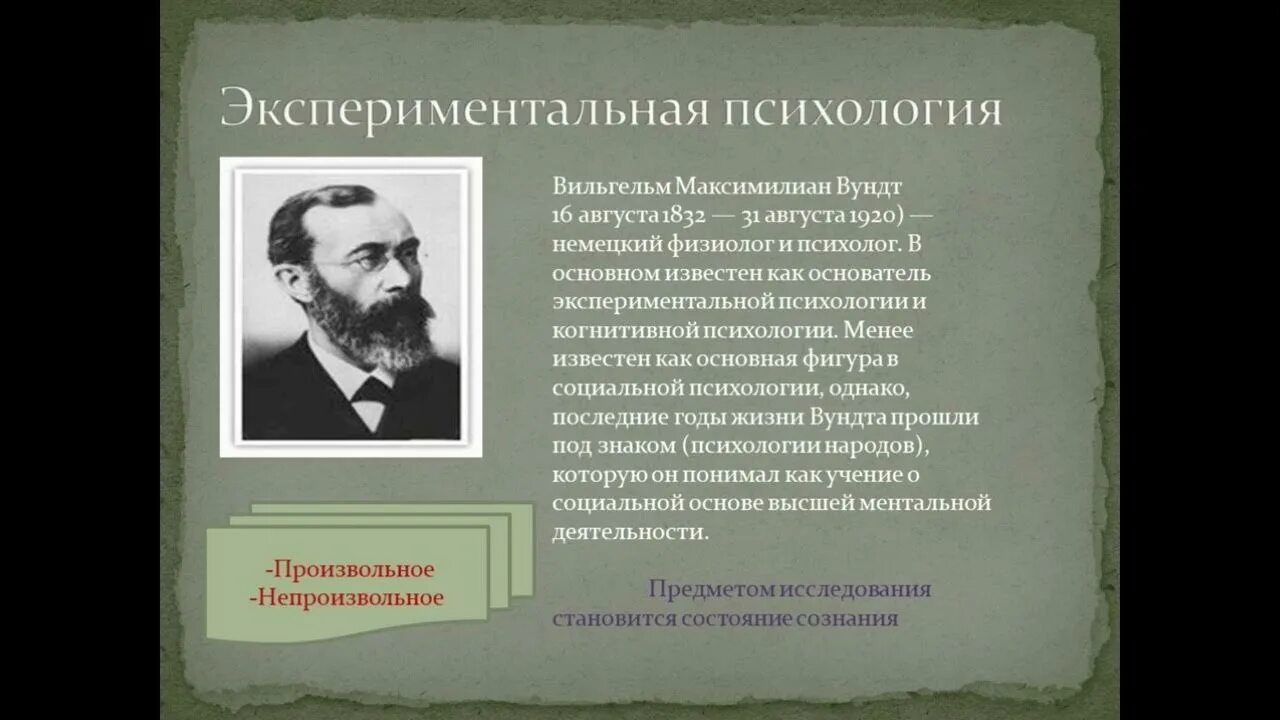 Представители экспериментальной психологии
