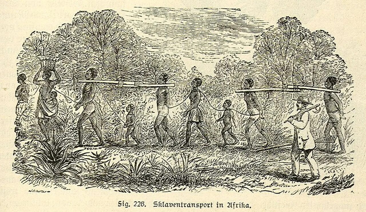 Плантации рабыни. Работорговля Африки 18 века. Африка 19 века работорговля. Работорговля в Африке в 19 веке.