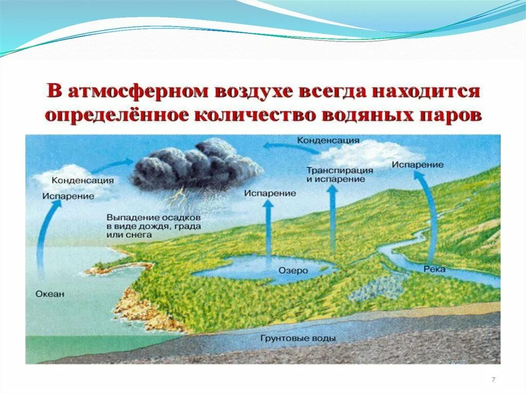 В теплом воздухе содержится. Атмосфера водяного пара. Источники водяного пара. Водяной пар в атмосфере. Водяной пар в атмосфере карта.