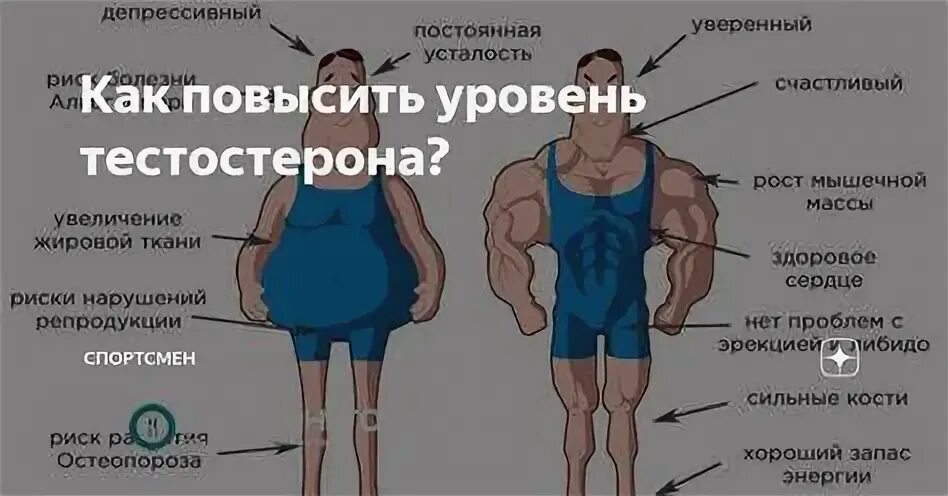 Высокий уровень тестостерона у мужчин