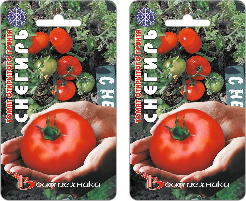 Сорт помидор снегирь. Томат снегирь биотехника. Томат снегирек семена. Семена биотехника томат снегирь. Томат королевская сливка.