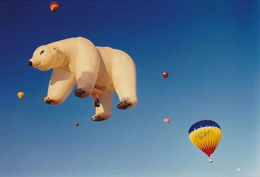 Медведь на шаре. Необычные воздушные шары. Необычный воздушный шар. Смешной воздушный шар. Летающий медведь.