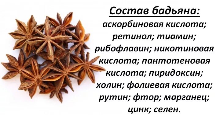 Бадьян описание пряности. Бадьян специя гвоздика. Анис звездчатый. Можно ли бадьян беременным. Чай с бадьяном.