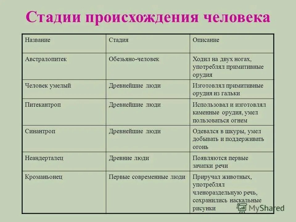 Видовое название человека. Стадии развития человека биология 5 класс. Этапы происхождения человека схема. Стадия развития человека таблица по биологии. Стадии развития человека таблица биология 5 класс.