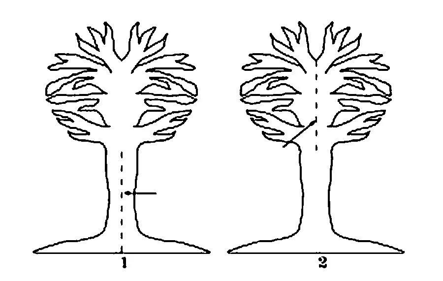Шаблон дерева для аппликации. Трафарет дерева и елки. Трафарет "дерево". Трафарет объемного дерева. Трафарет дерево для вырезания из бумаги.