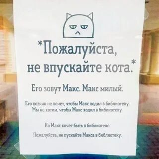 Выпусти кота