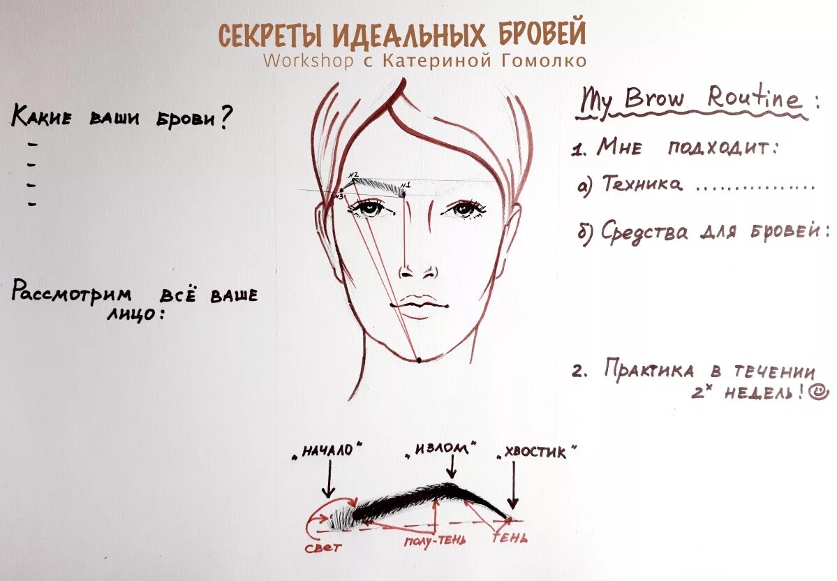 Схема построения эскиза бровей. Схема построения формы бровей. Архитектура бровей схема. Правильная форма бровей схема. Карты бровки