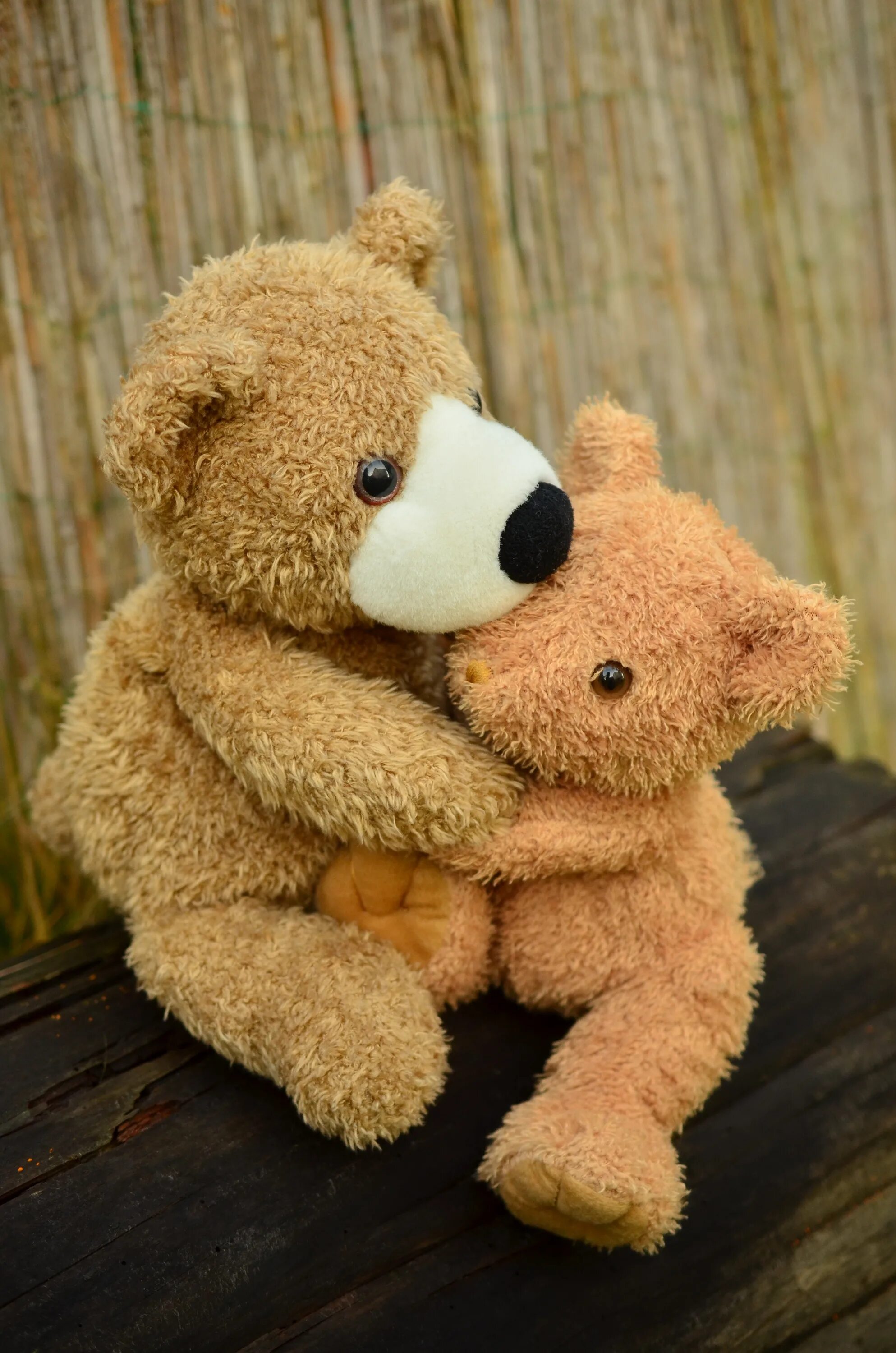 Фотки мишек. Тедди Беар. Плюшевый медведь Teddy Bear. Тедди Беар игрушка. Красивый плюшевый Медвежонок.