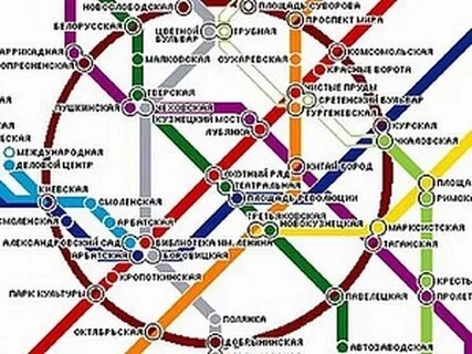 Парк победы какая ветка цветом