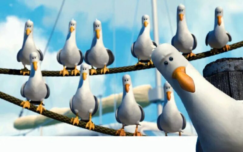 вавилон дай дай дай. чайки немо дай. чайки из мультфильма в поисках немо. вавилон дай дай дай. дай дай дай чайки из немо.