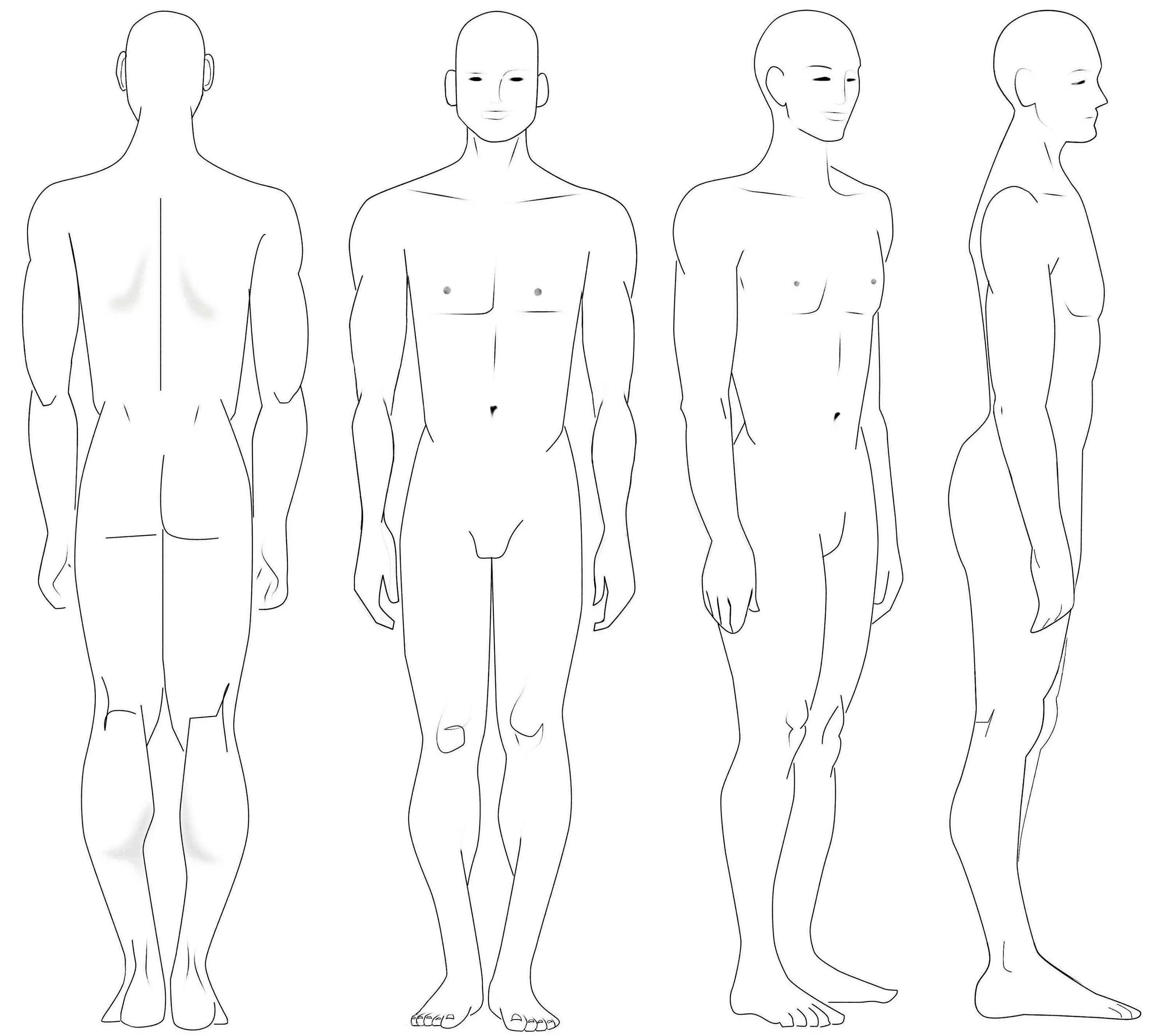 Тело скопировать. Мужская анатомия референс телосложения. Мужская фигура для рисования. Тело рисунок. Анатомия тела мужчины для рисования.