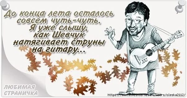 Песни окончание лета. Слышу как Шевчук натягивает струны. Нервы струны натянуты. Шевчук прикол. Натянутая струна психики.