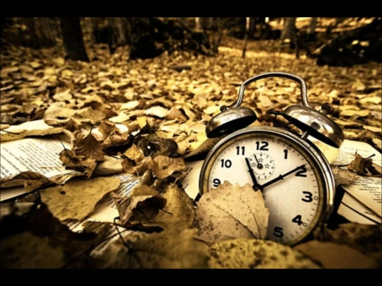 время. быстротечность жизни. время песок.
