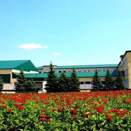 Ивантеевка саратовская область. Ивантеевка саратовская область достопримечательности. Ивантеевка саратовская область достопримечательности. Сайт ивантеевка саратовская область. Сайт ивантеевка саратовская область.