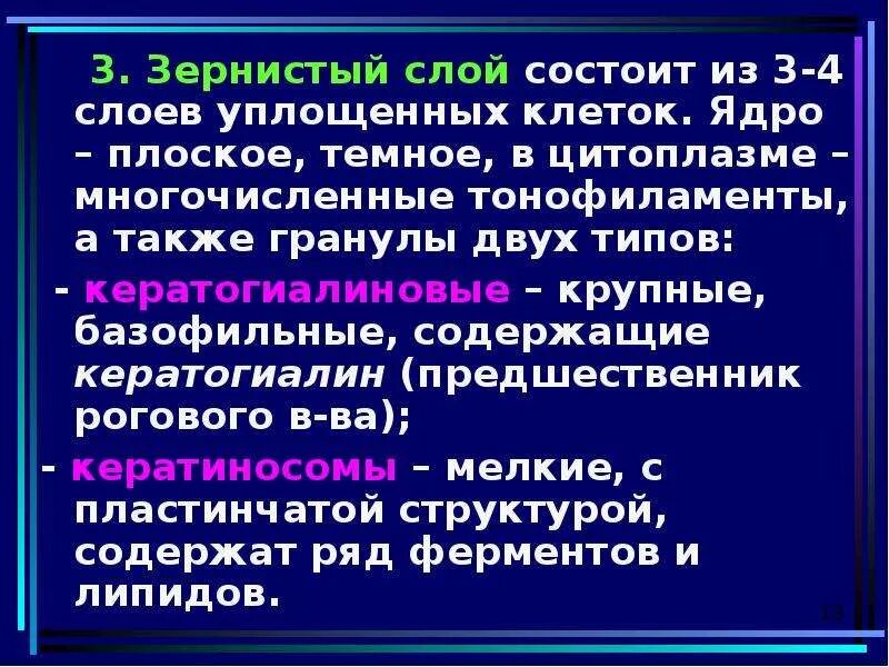 Неподвижный зернистый слой. Неподвижный зернистый слой