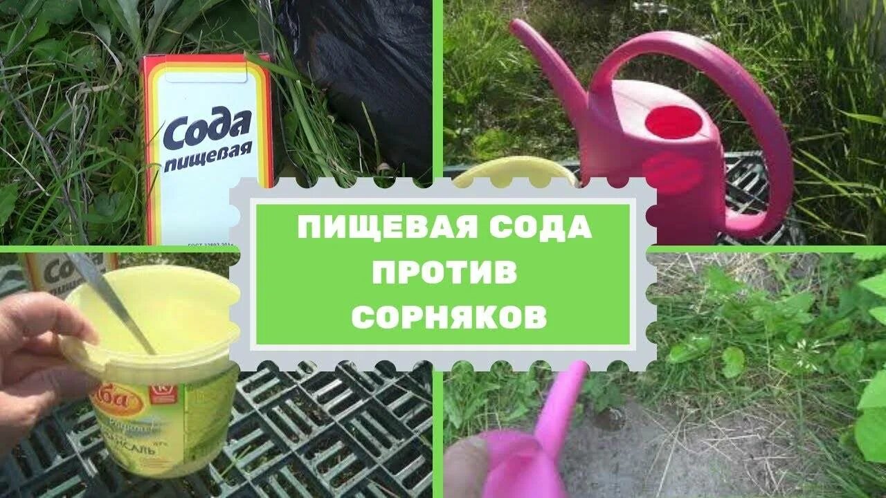 Народное от сорняков. Сода от сорняков. Пищевая сода для сада и огорода. Сода пищевая для сорняков. Сода пищевая от сорника.