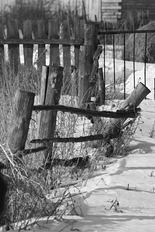 прикольные демотиваторы про олю. жизнь за забором старые фото. эстетика деревенский забор. жизнь под забором. подглядывает через забор.