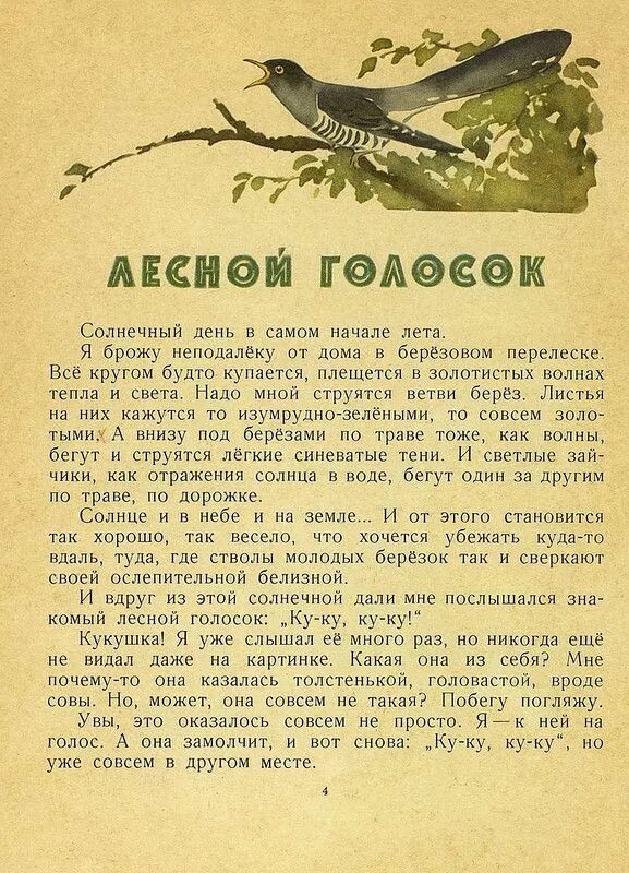 Я брожу в березовом перелеске. Лесной голосок Скребицкий 1964. Лесной голосок г.Скребницкий. Г Скребицкий Лесной голосок. Скребицкий сказки следопыта Лесной голосок.