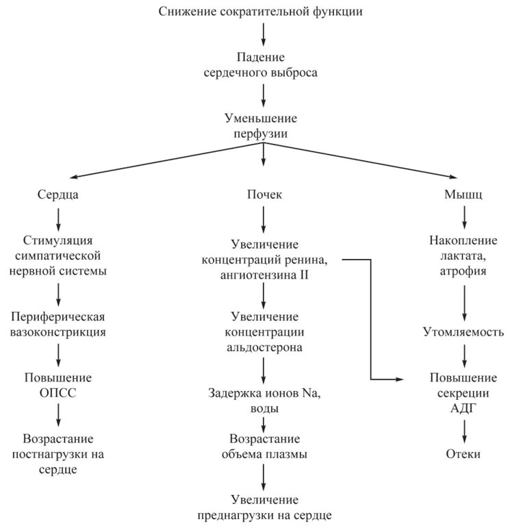 Сердечная недостаточность схема. Схема патогенеза сердечной недостаточности. Патогенез ХСН схема. Патогенез хронической сердечной недостаточности схема. Острая сердечно-сосудистая недостаточность патогенез.