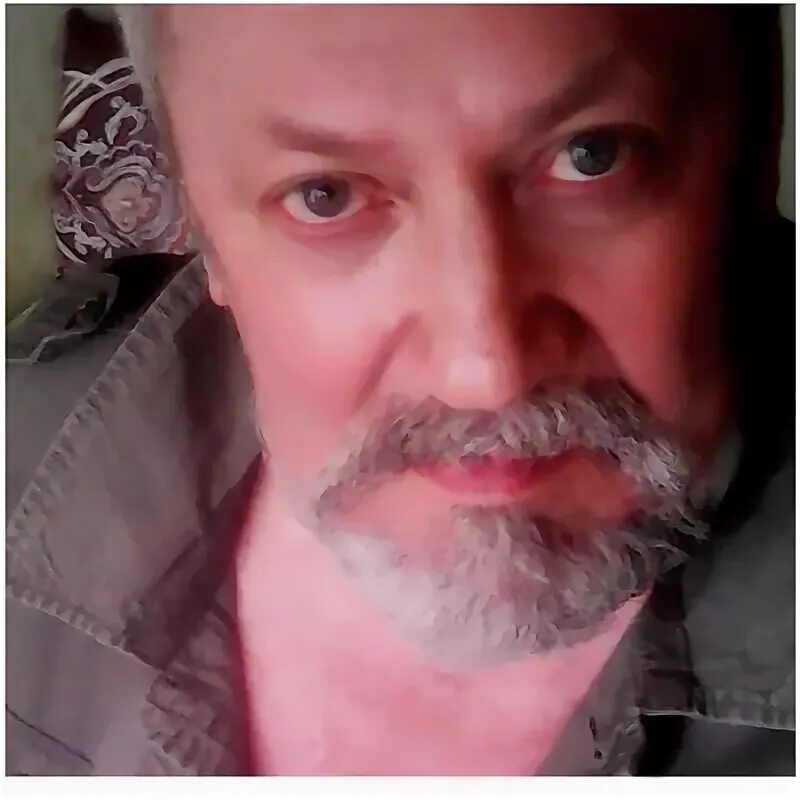 Павлович н б. Павлович н б