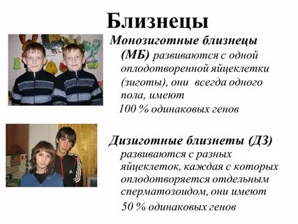 Монозиготные близнецы