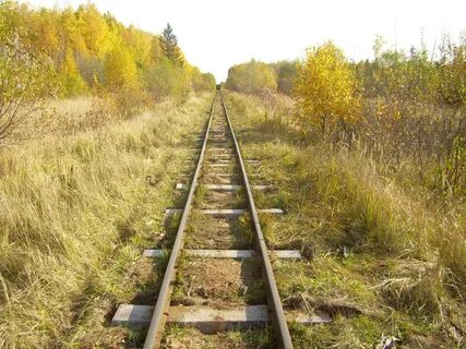Песни колея дорога