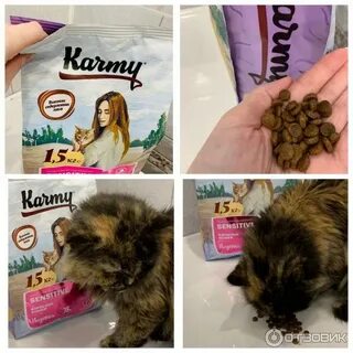 Карми для кошек