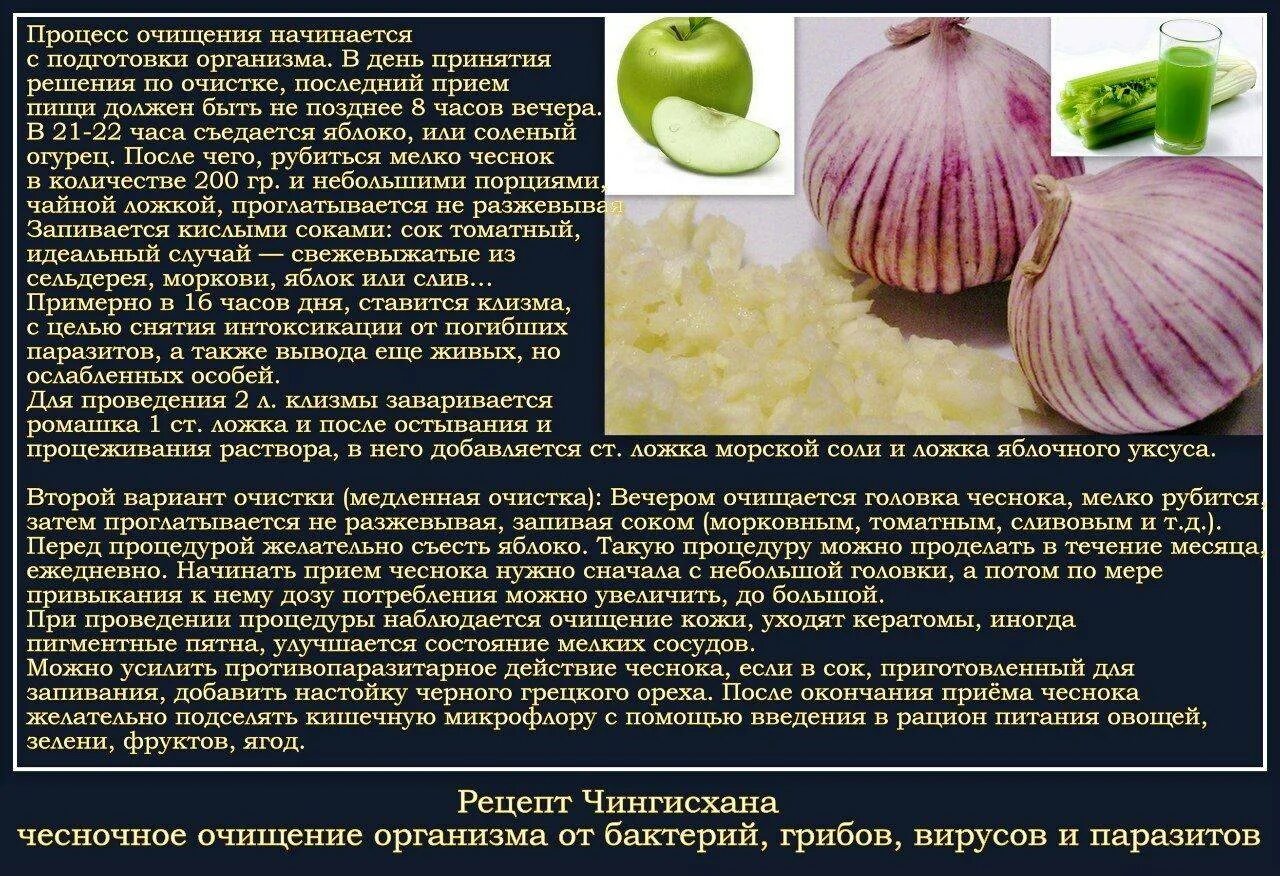 Как выводят глистов из организма. Очищение организма от глистов и паразитов. продукты для выведения паразитов из организма. вывод паразитов из организма. как очистить организм от паразитов.