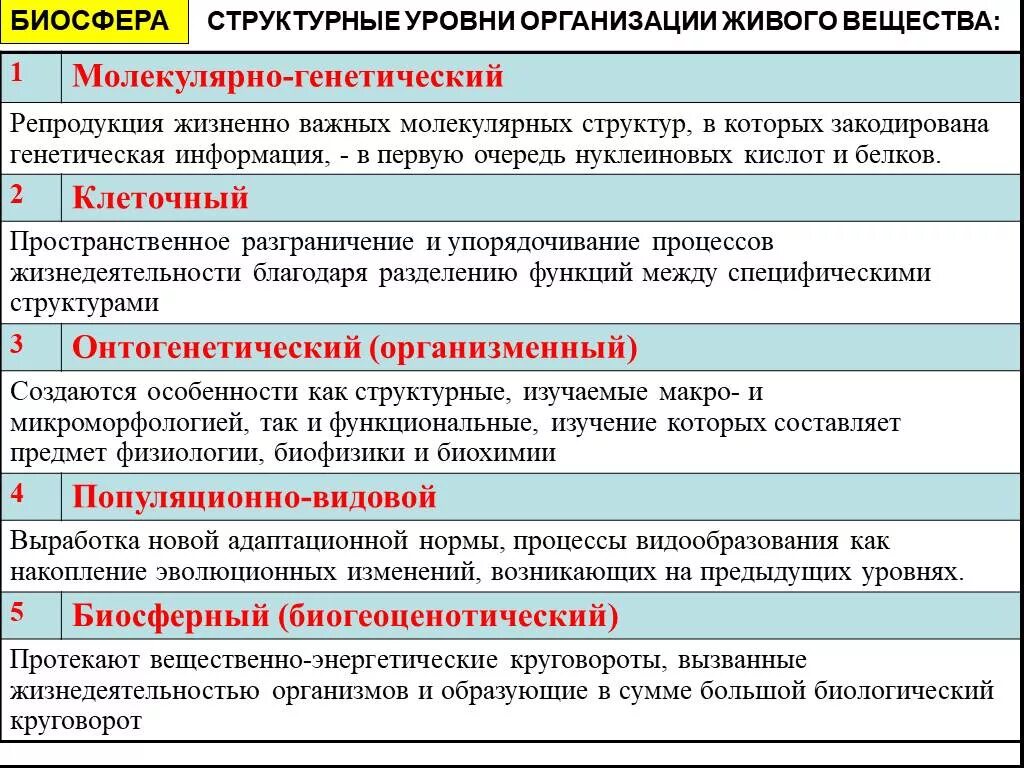 Уровни структурной организации живого. Структурные уровни живого. Уровни организации живого вещества. Уровни организации живых организмов. Примеры уровней организации живых систем