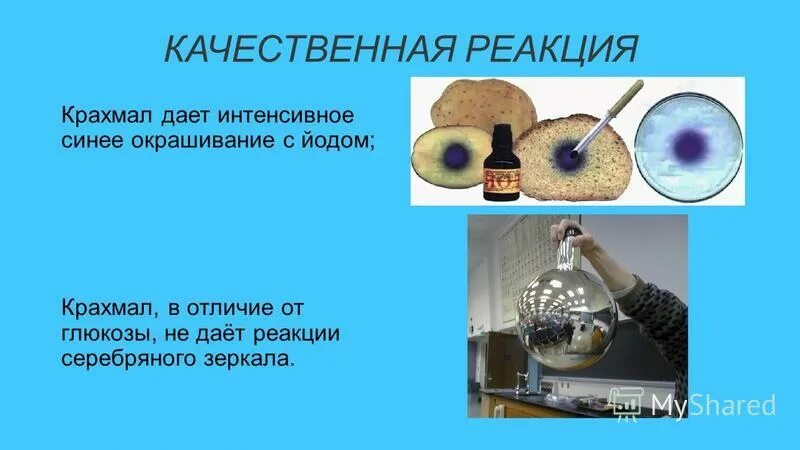 Реакцией на крахмал является его взаимодействие с. Реакцией на крахмал является его взаимодействие с