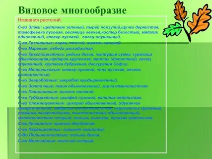 Видовое разнообразие животных и растений