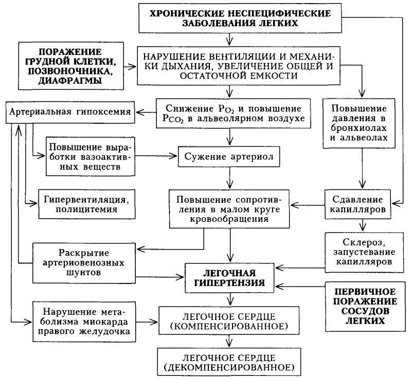 схема патогенеза легочной гипертензии. патогенез развития хронического легочного сердца. острое легочное сердце патогенез. хроническое легочное сердце этиология. легочное сердце патогенез.