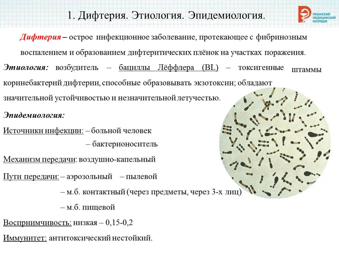 К каким инфекциям относятся следующие заболевания дифтерия. Дифтерия эпидемиология. Дифтерия этиология. Характеристика возбудителя дифтерии. Возбудитель дифтерии эпидемиология.