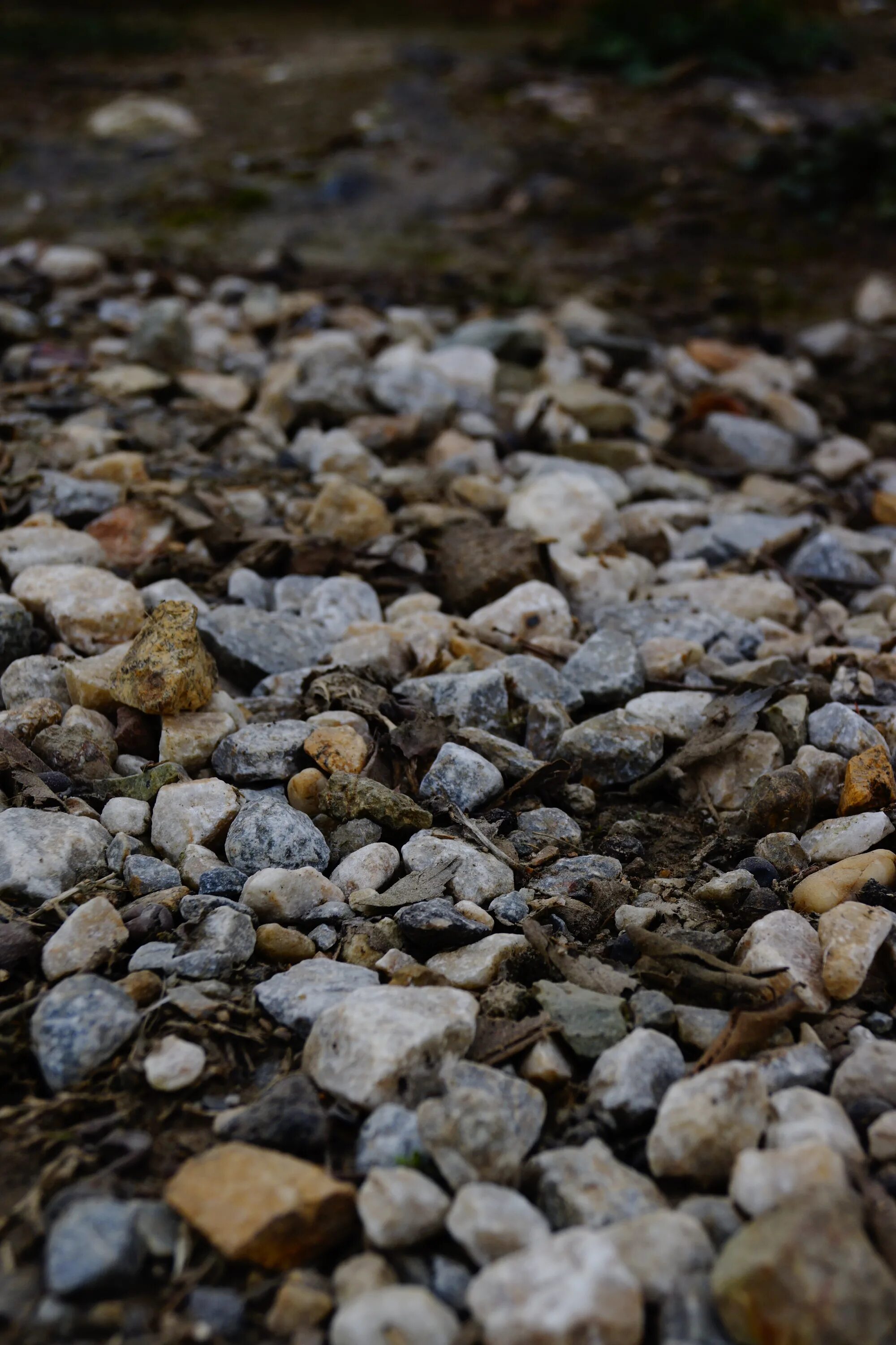 Ground stone. Камни на земле. Грунты с булыжниками камнями. Камешки на земле. Каменная почва.