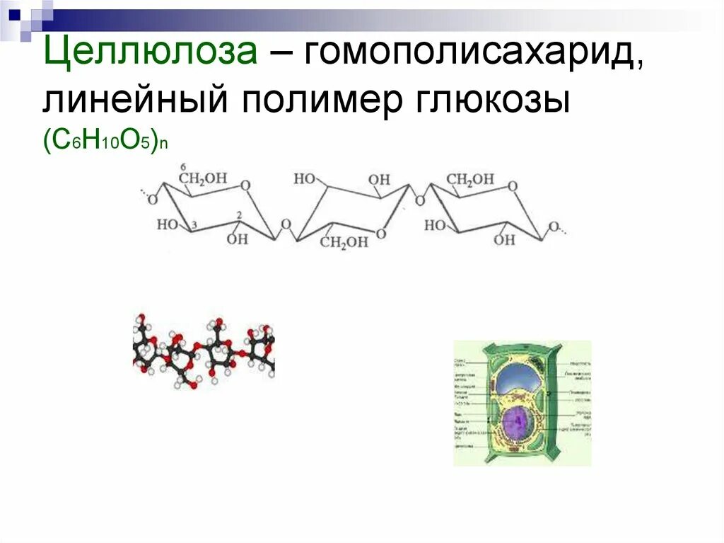 Строение полимера целлюлозы. Целлюлоза это мономер бета Глюкозы. Целлюлоза мономер или полимер. Целлюлоза линейный полисахарид.