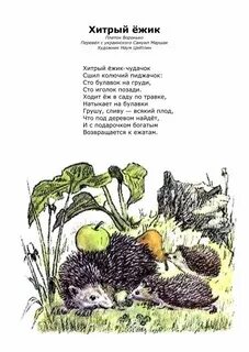 Ежик перевод